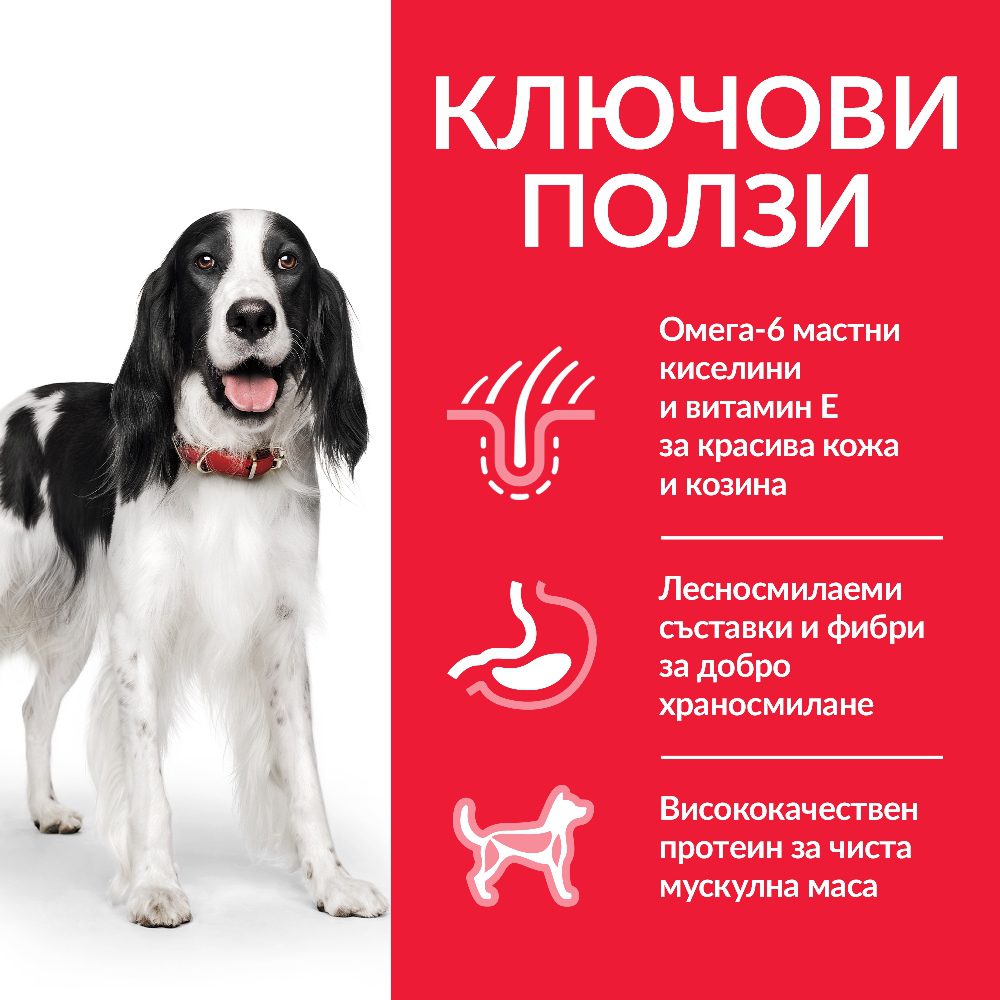 DOG_Adult_Medium_Chicken_Transition-Benefits