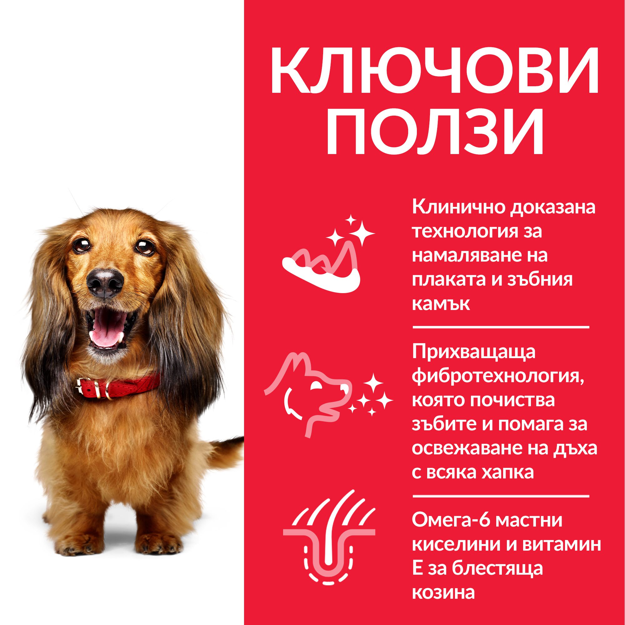 DOG_Adult_Oral_Care_Chicken_Transition-Benefits