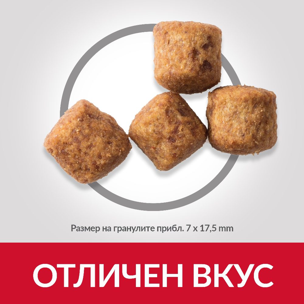 DOG_MA_Large_Chicken_Kibbles