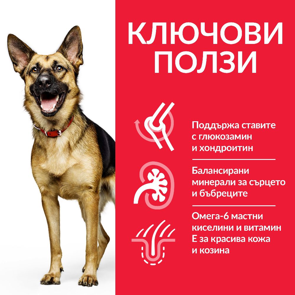 DOG_MA_Large_Chicken_Transition-Benefits