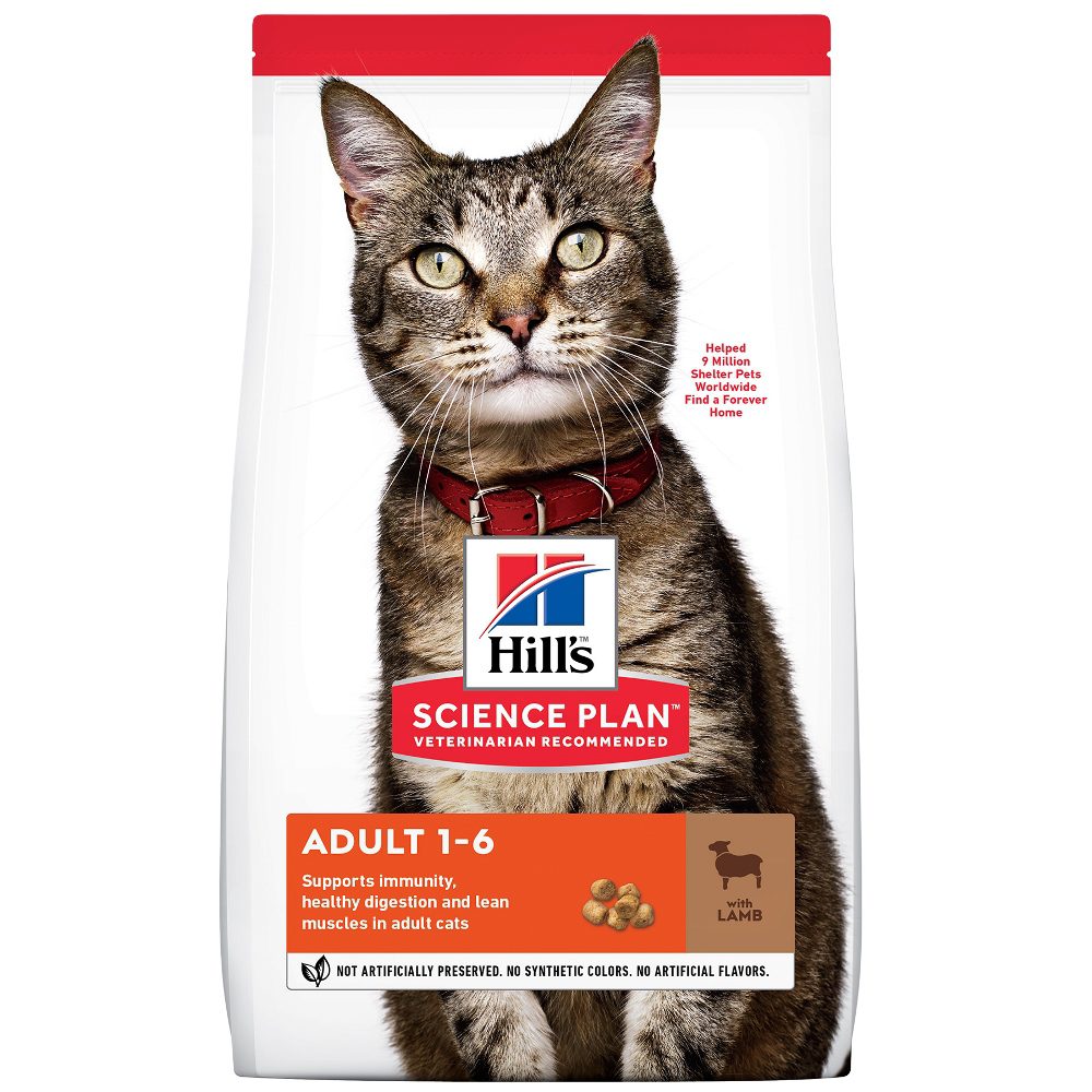 SP_CAT_Adult_Lamb