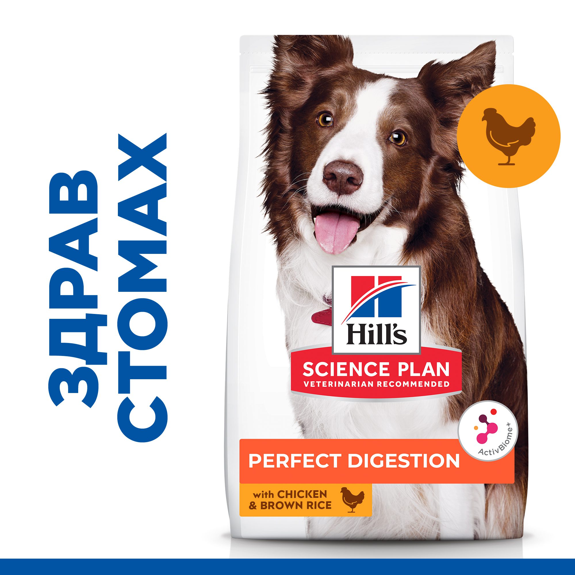 SP_Perfect Digestion_Thumbs-dog_v22-Bag-Front-PLP Medium
