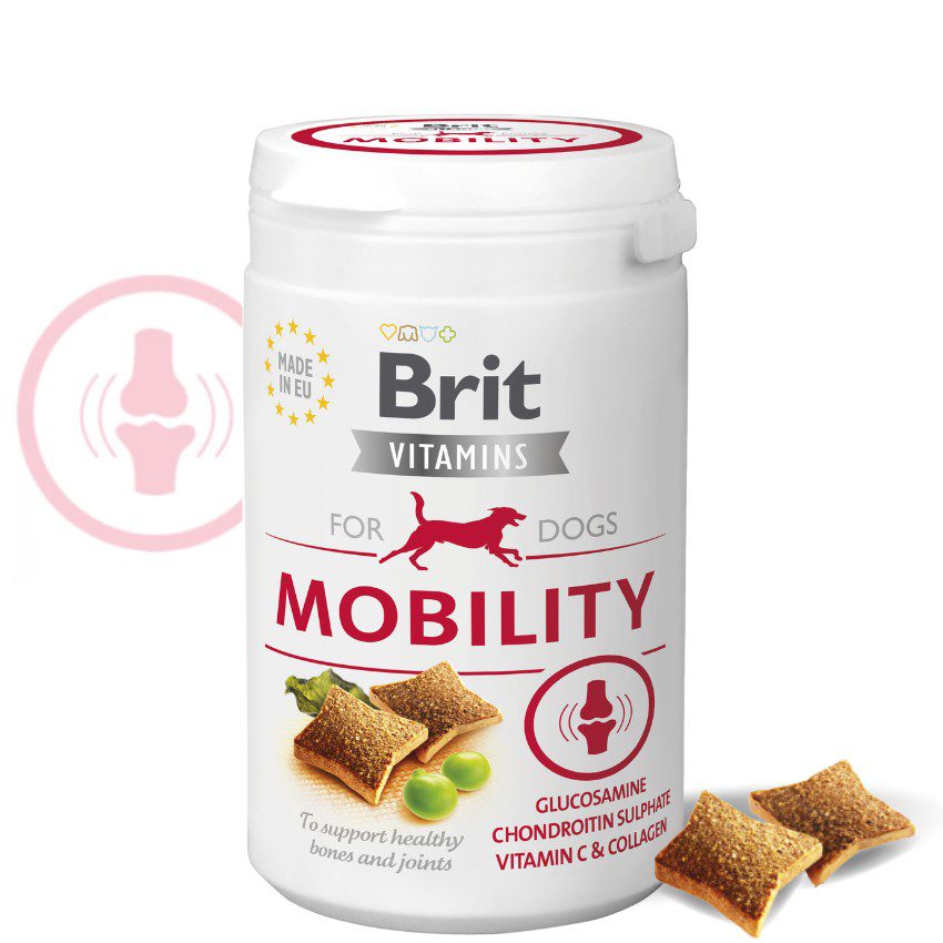 mobility-1